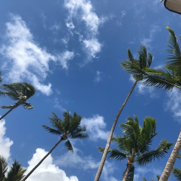 Meet your Posher, Lynn - Picture 6 of 11